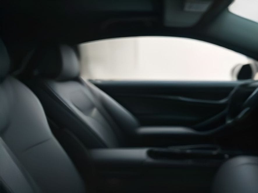 Interior detailing and cabin clean